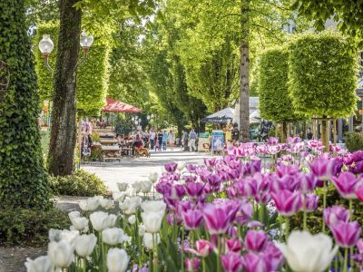 Fußgängerzone in Bad Reichenhall im Frühling mit Blumen